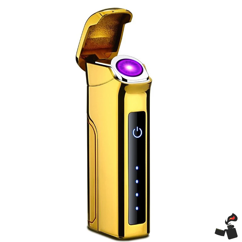 Electric lighter